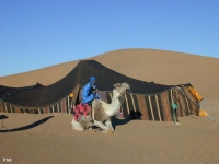 Une des tentes de notre campement au lever du soleil à Tinfou au sud de Zagora