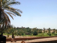 L'oasis de Nesrate