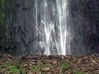 Chute du Carbet