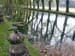 Courances02_reflets