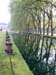 Courances03_canal-et-platanes_1782