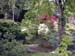 Courances09_garden