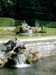 Courances18_dauphin