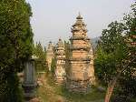 Shaolin, la forêt de Stupa