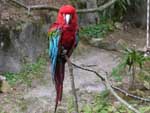 Zoo de Pont-Scorf
